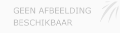 Afbeelding › Juwelen De Boeck